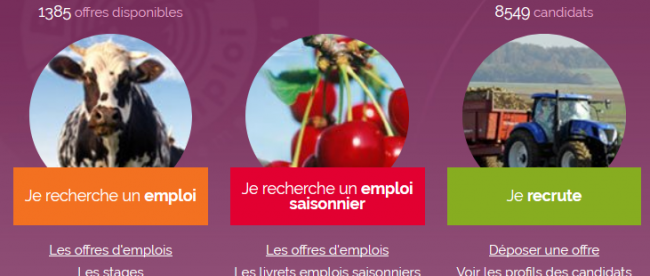 bourse-emploi-agricole