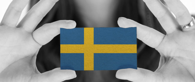 Business France Veut Favoriser L Envoi De Vie En Suede Tironem Fr